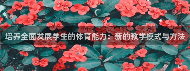 77体育官网：培养全面发展学生的体育能力：新的教学模式与方法