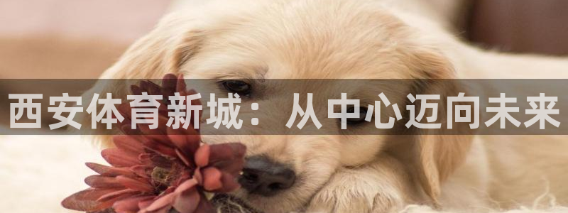 77体育官网：西安体育新城：从中心迈向未来