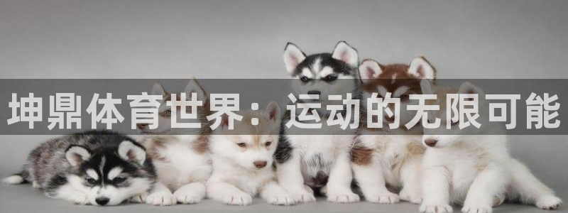皇冠277体育：坤鼎体育世界：运动的无限可能