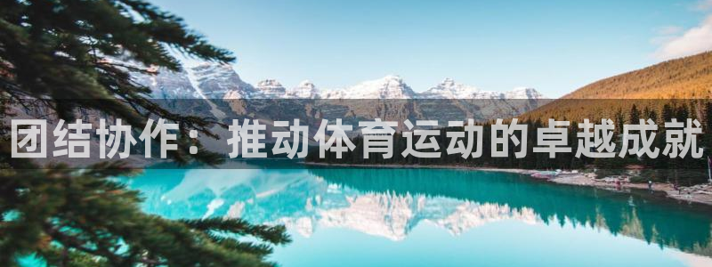 77体育官网：团结协作：推动体育运动的卓越成就