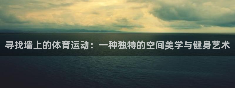 77体育：寻找墙上的体育运动：一种独特的空间美学与健身艺术