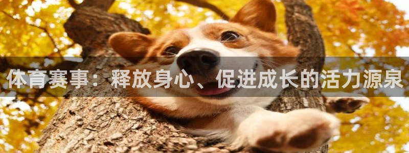 77体育：体育赛事：释放身心、促进成长的活力源泉