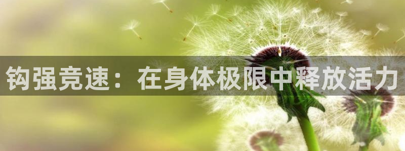 77体育：钩强竞速：在身体极限中释放活力