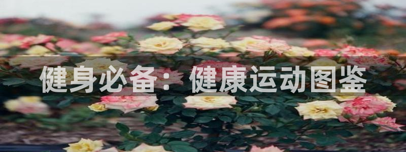 皇冠277体育：健身必备：健康运动图鉴
